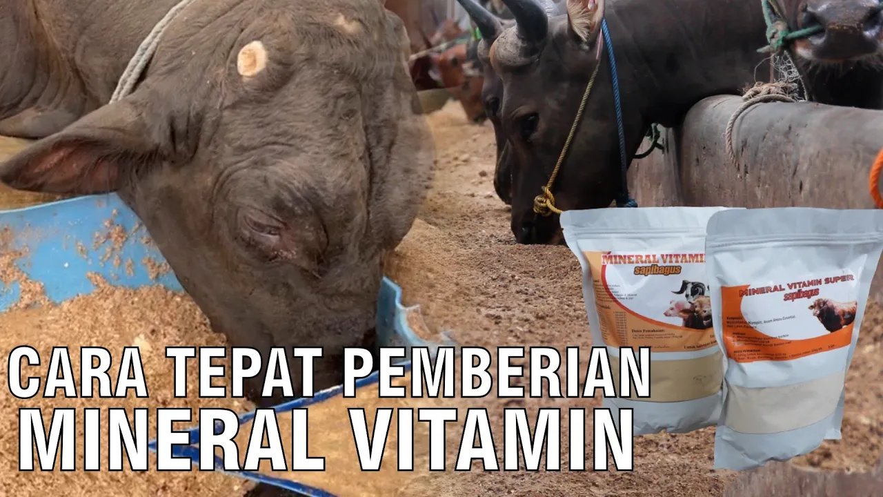 
                                 Cara-Tepat-Pemberian-Mineral-Vitamin